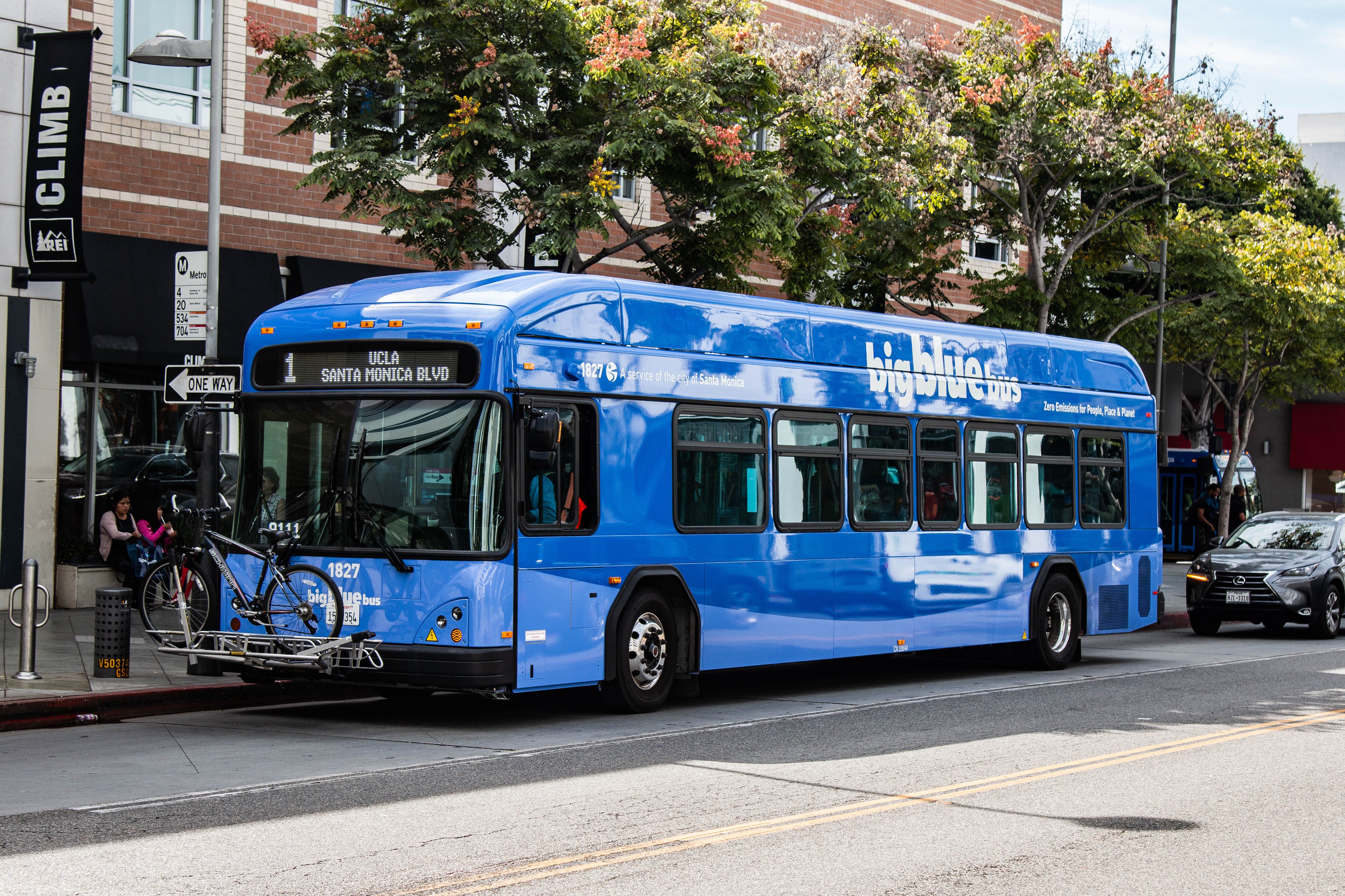 Kathmandu Valley to Roll Out Free 'Blue Bus' Service for Women Starting July 17