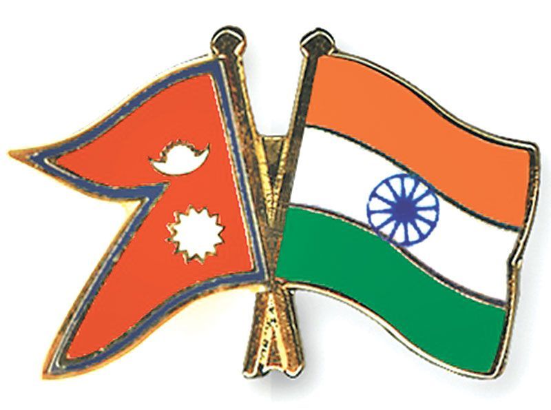 Nepal's Tea Exports to India Decline in Volume and Value