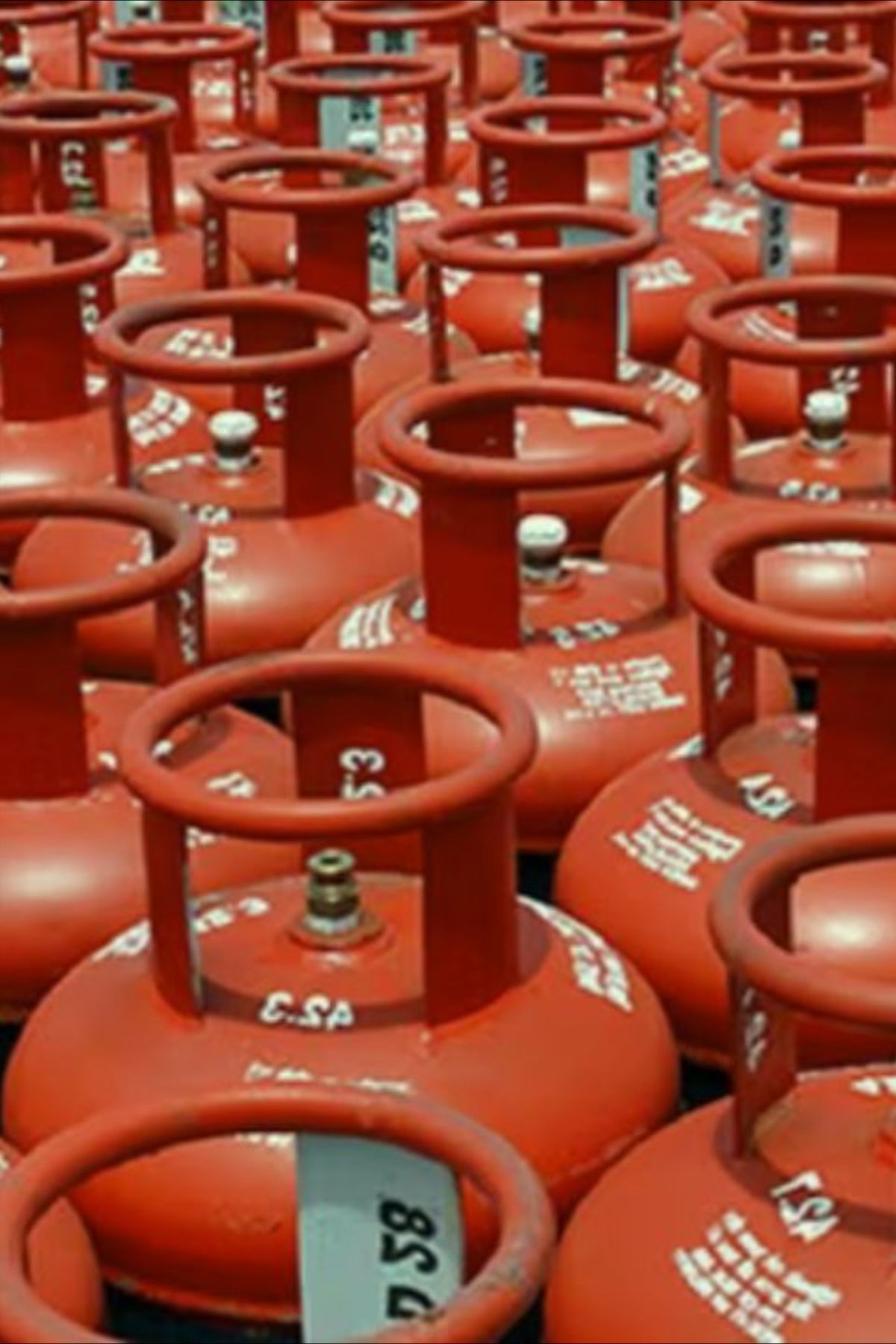 LPG Gas Alert: Government Launches Crackdown on Artificial Shortage