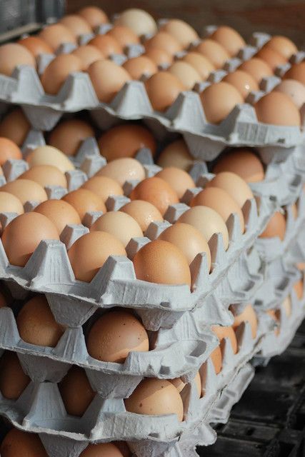 Egg Prices Rise as Demand Surges, Support Prices Increased