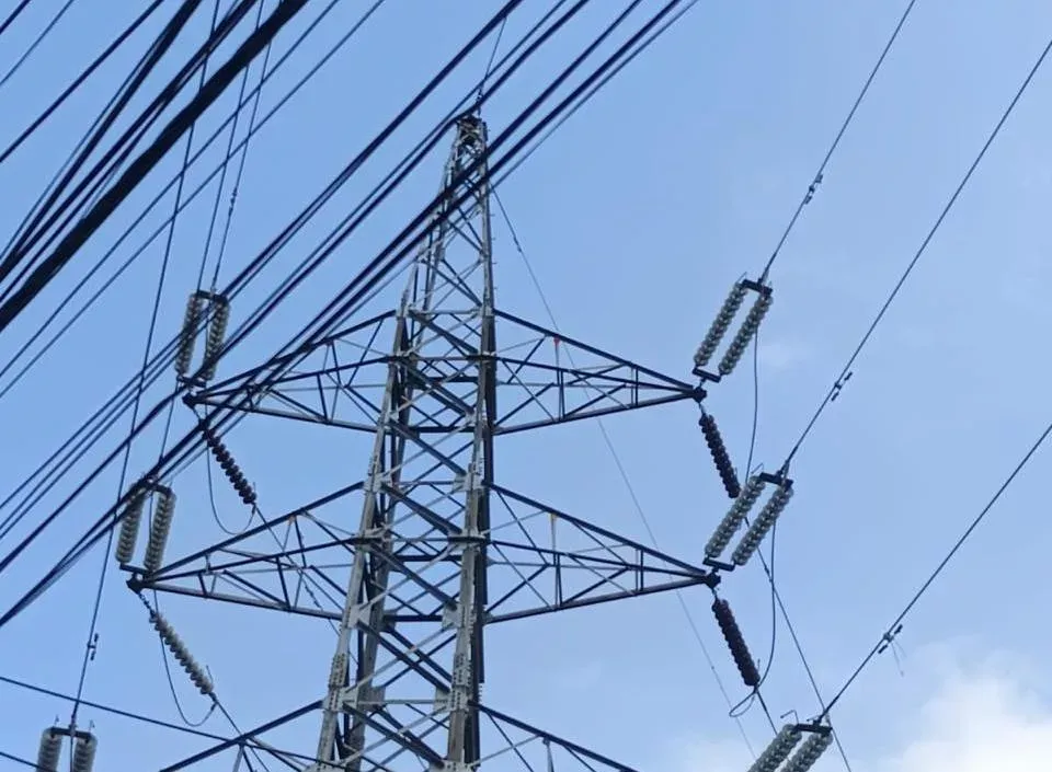 Electricity Supply in Kathmandu Valley May Be Affected on October 10–11