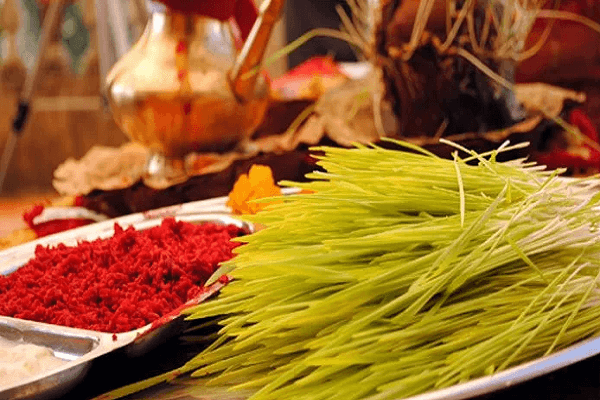 Navratri Begins with Ghatasthapana: Devotees Sow Jamara to Welcome Goddess Durga